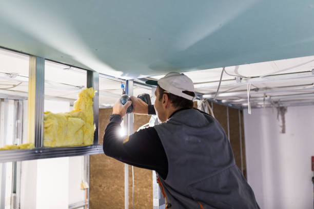 Best Residential Insulation in Benton Heights, MI